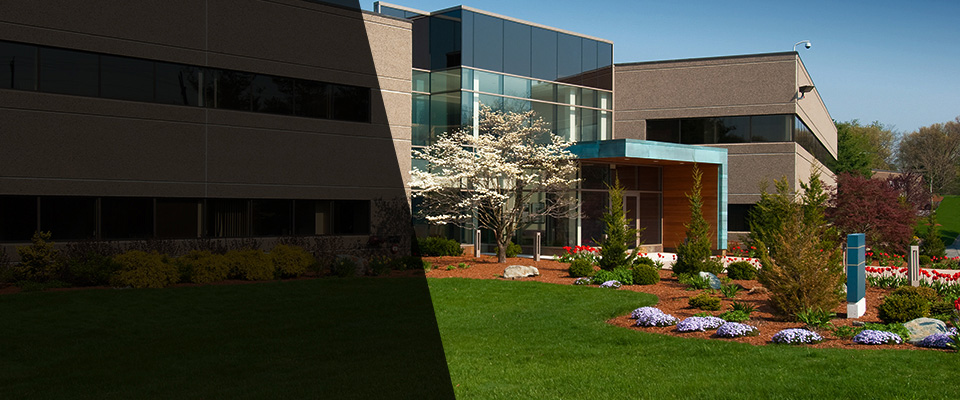Bothell Landscapers