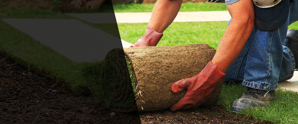 Bothell Landscapers